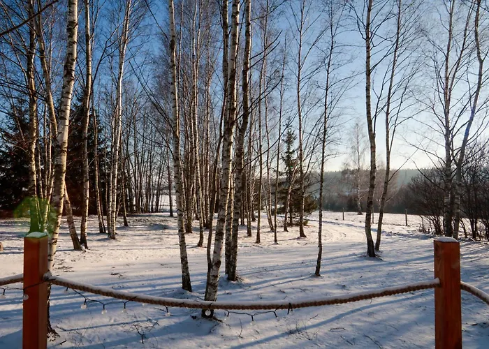 Dom wakacyjny Brzozowe Wzgórze W Chocieszowie